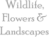 Wildlife, Flowers & Landscapes